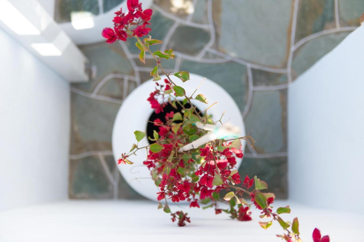 Turquoise Maison By The Sea Platis Gialos  المظهر الخارجي الصورة